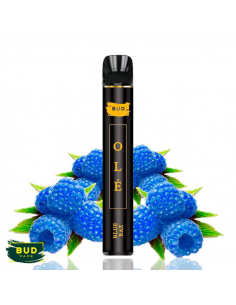 Pod desechable Blue Razz...