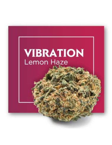 VIBRATION Lemon Haze 2gr by Cannactiva