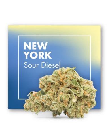 NEW YORK Sour Diesel – INDOOR 2gr by Cannactiva