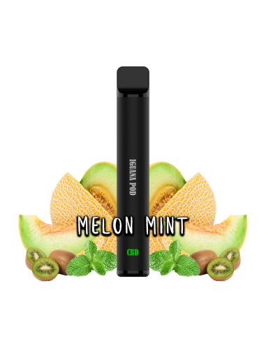 Melon Mint CBD 800 puffs by Iguana Smoke
