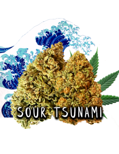 Sour Tsunami CBD 20gr by...