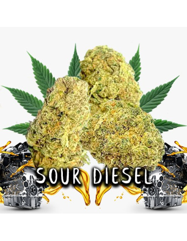 Sour Diesel CBD 2gr by Iguana Smoke