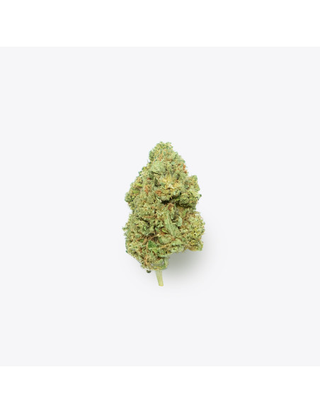Gelato by Gorilla Grillz CBD 3,5gr