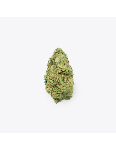 Gelato by Gorilla Grillz CBD 5gr