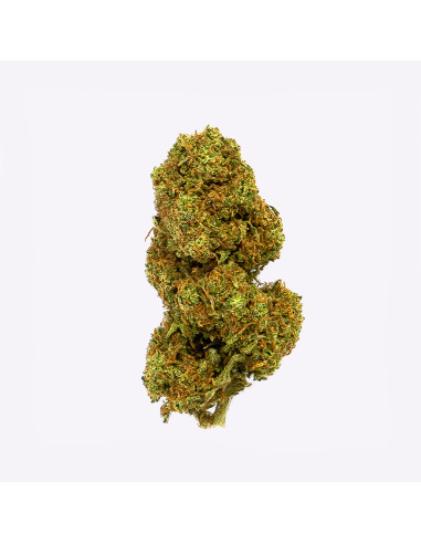 Orange Cookies by Gorilla Grillz CBD...