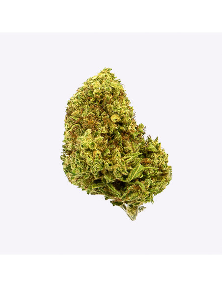 Lemon Haze by Gorilla Grillz CBD 5gr