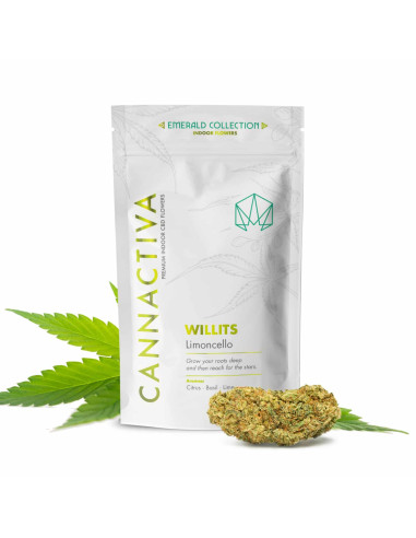 WILLITS Limoncello 2gr by Cannactiva