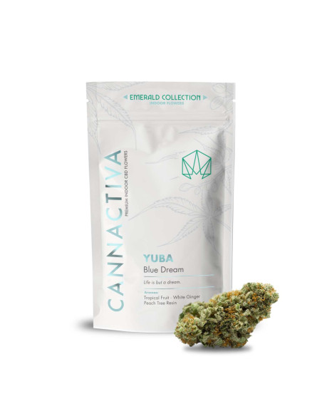 YUBA Blue Dream 2gr by Cannactiva