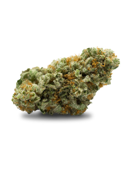 YUBA Blue Dream 2gr by Cannactiva