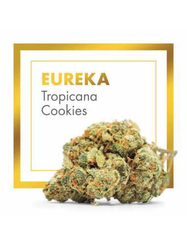 EUREKA Tropicana Cookies 5gr by Cannactiva