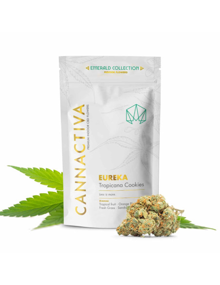 EUREKA Tropicana Cookies 10gr by Cannactiva