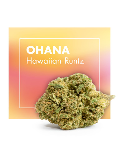 OHANA Hawaiian Runtz 5gr by Cannactiva