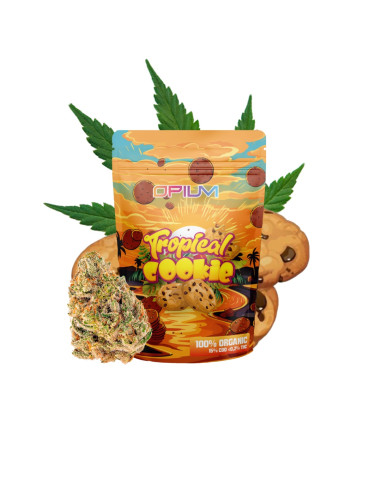 Tropical Cookies CBD 5gr by Opium