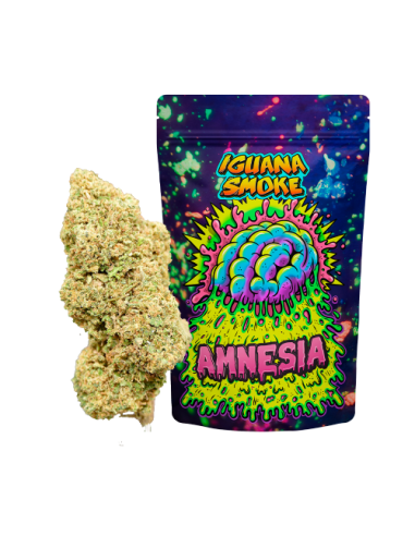 Amnesia CBD 3gr by Iguana Smoke