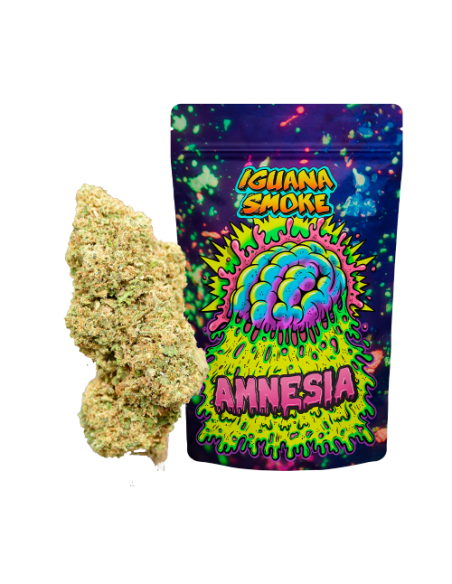 Amnesia CBD 3gr by Iguana Smoke