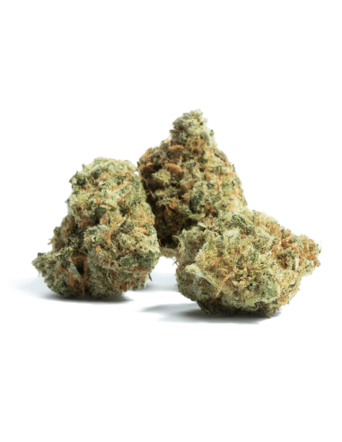 Amnesia CBD 3gr by Iguana Smoke