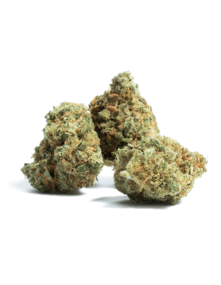 Amnesia CBD 3gr by Iguana Smoke
