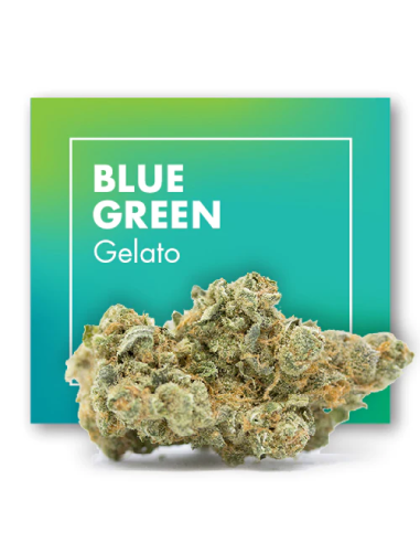 BLUE GREEN Gelato 2gr by Cannactiva