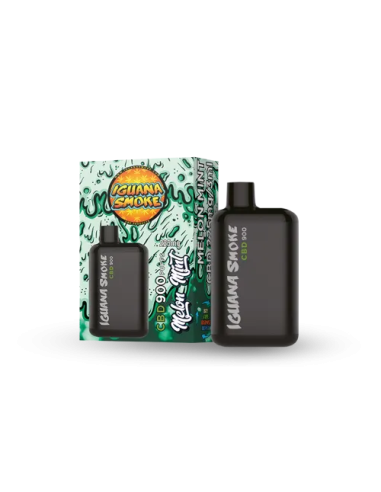 Melon Mint Pocket CBD 900 puffs by...