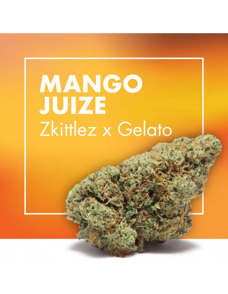 MANGO JUIZE Zkittlez x Gelato 5gr by Cannactiva