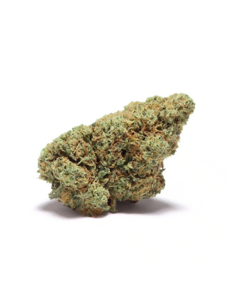 MANGO JUIZE Zkittlez x Gelato 5gr by Cannactiva