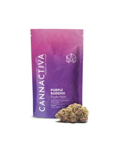 PURPLE BUDDHA 2gr by Cannactiva