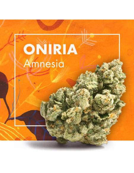 ONIRIA Amnesia 2gr by Cannactiva
