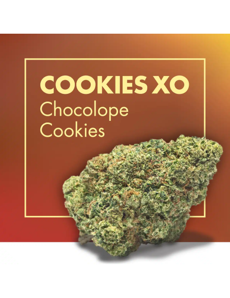 COOKIES XO Chocolope Cookies 2gr by Cannactiva