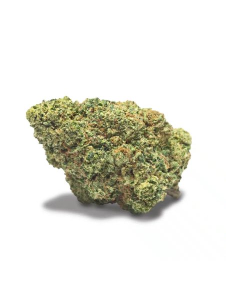 COOKIES XO Chocolope Cookies 2gr by Cannactiva