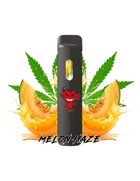 Pod Desechable STV - Demoniete Canallita Melon Haze