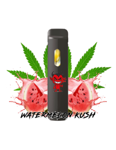 Pod Desechable 10-OH -...