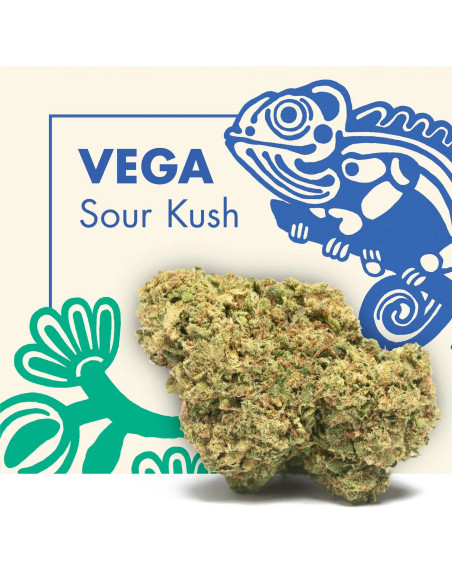 VEGA Sour Kush 2gr by Cannactiva