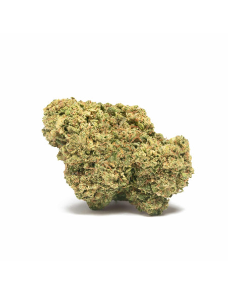 VEGA Sour Kush 2gr by Cannactiva