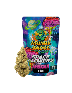 Amnesia E8H 2gr by Iguana...