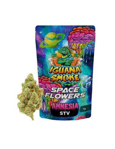 Amnesia STV 1gr by Iguana Smoke