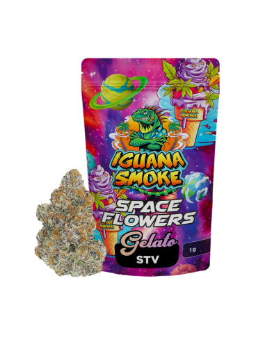 Gelato STV 1gr by Iguana Smoke