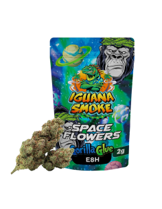 Gorilla Glue E8H 1gr by...