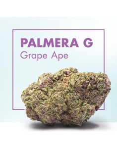 PALMERA G Grape Ape 2gr by...