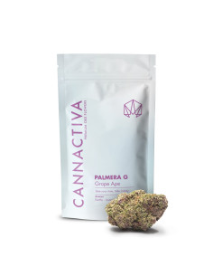 PALMERA G Grape Ape 5gr by... 2