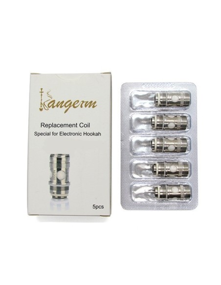 Resistencia NI200 0.2 ohms Kangerm